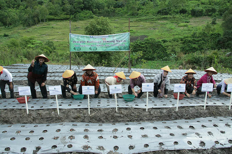 Menggali Wisata dan Ekonomi Desa Sigapiton, Letaknya di Dinding Danau Toba